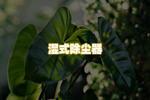湿式除尘器