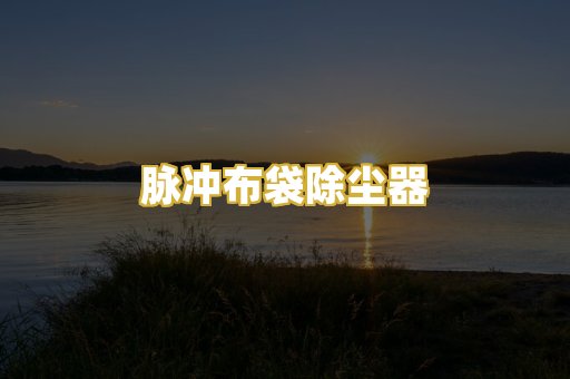 脉冲布袋除尘器